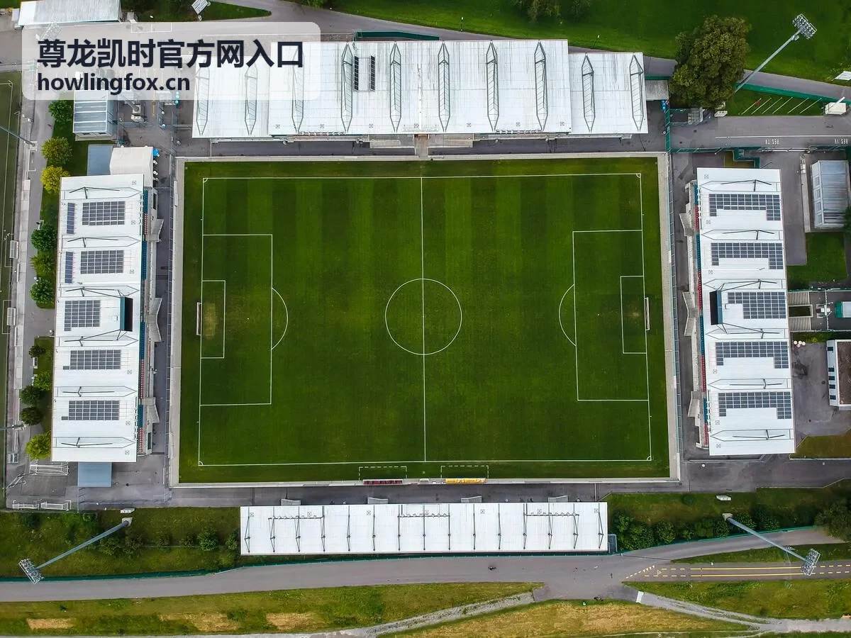 尊龙凯时官方网入口优惠活动板块