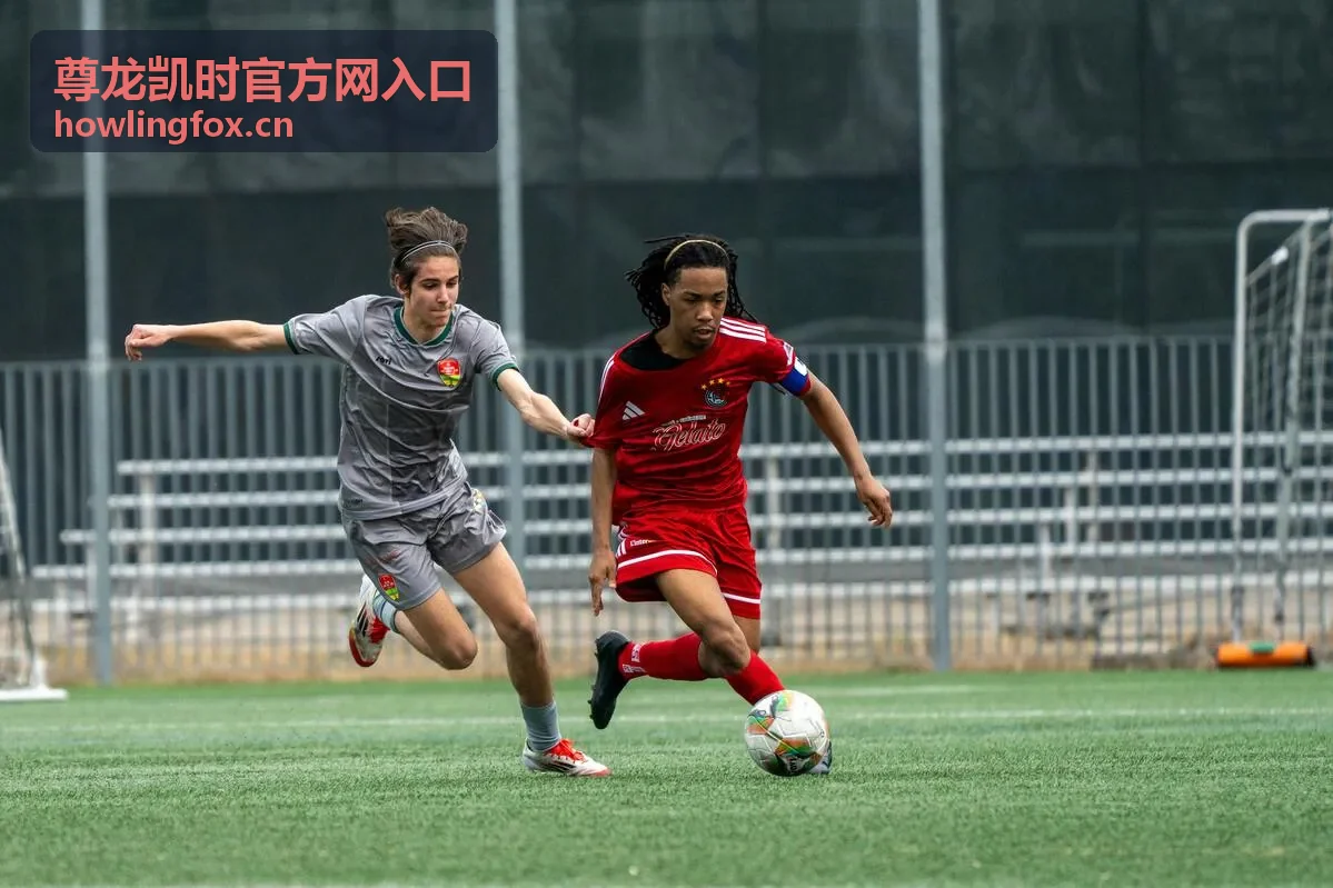 尊龙凯时官方网入口新手入门攻略