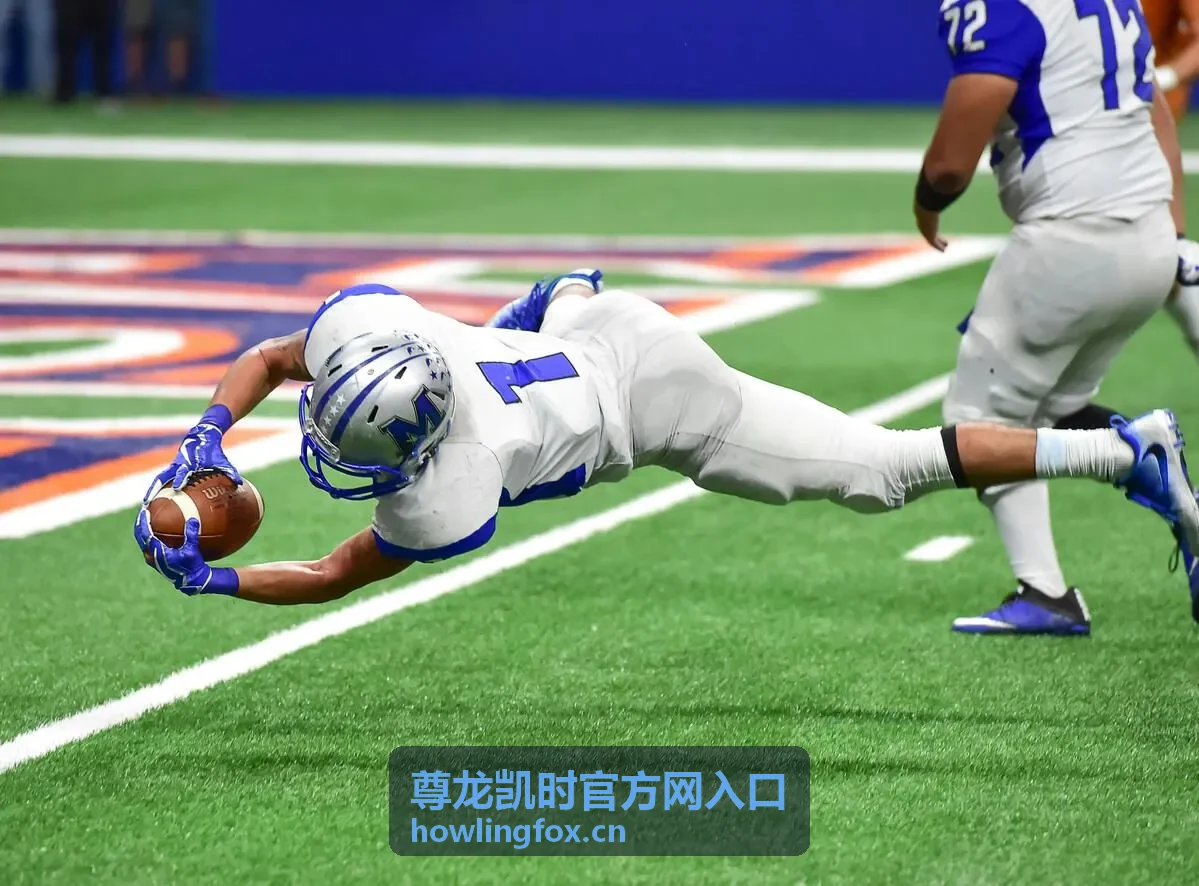 尊龙凯时官方网入口福利活动参与指南