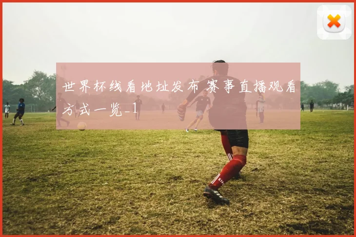 世界杯线看地址发布 赛事直播观看方式一览_1
