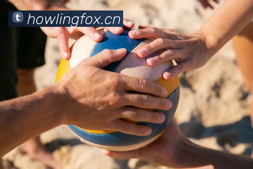 俄罗斯世界杯中国官网APP 高清赛事图